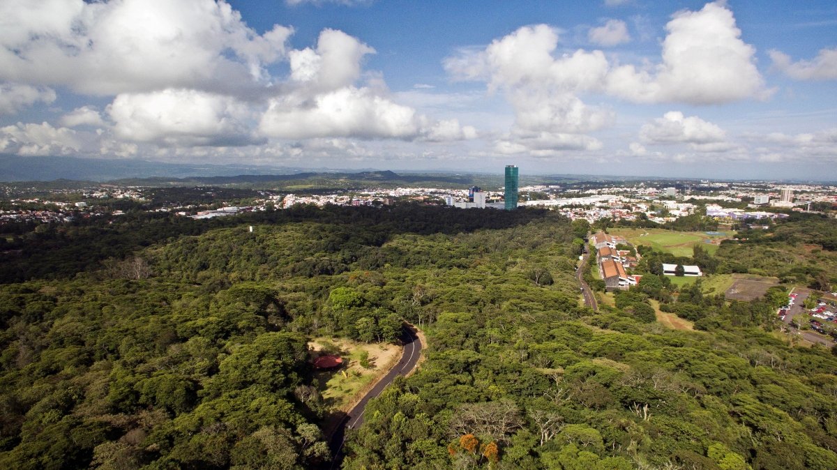 Colectivos piden retomar búsqueda en Parque Natura – El Democrata