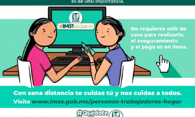 Imss Veracruz Sur Promueve Afiliación De Trabajadoras Del Hogar El Democrata 