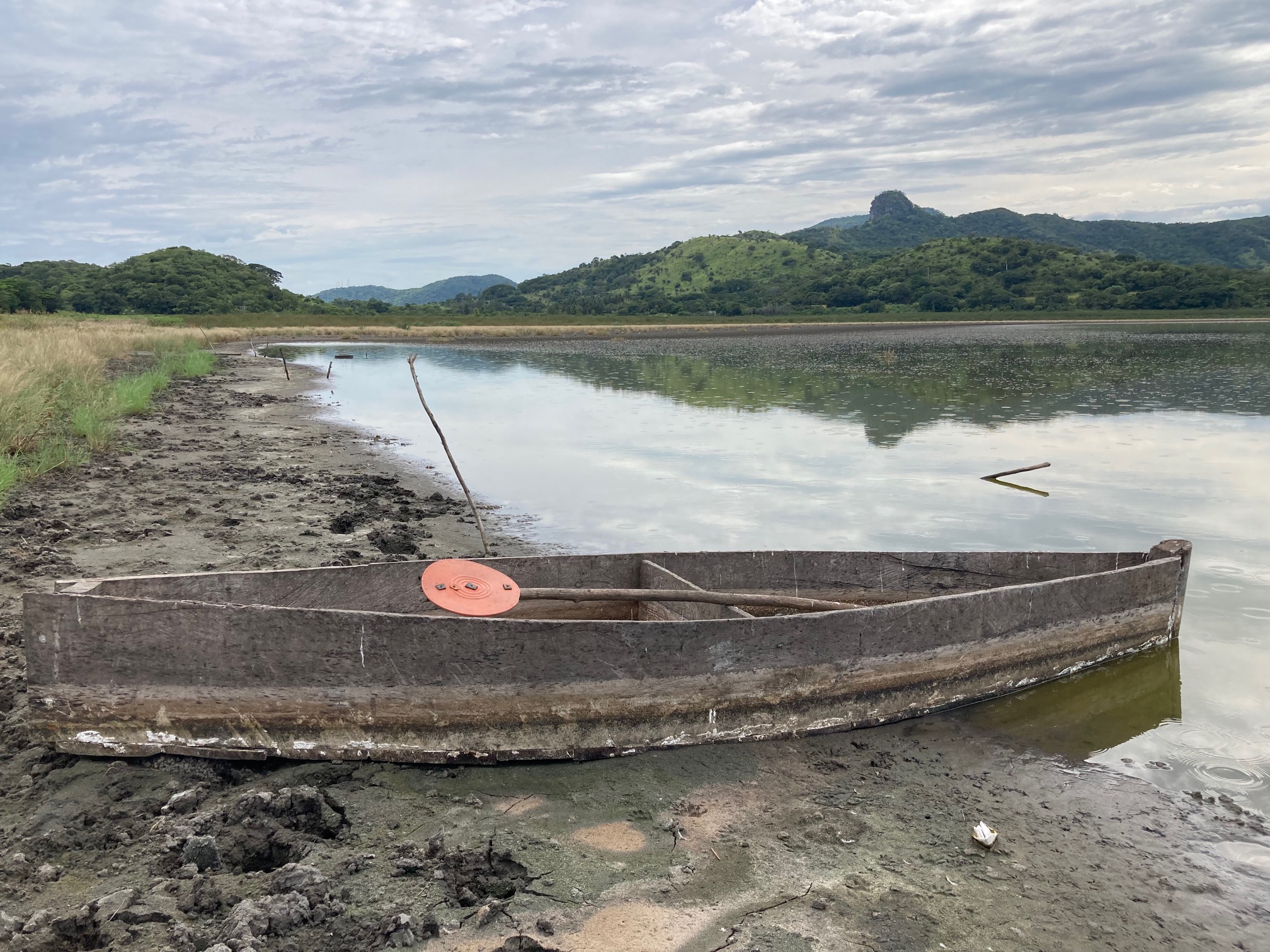 Veracruz carece de instrumentos para la política climática – El Demócrata