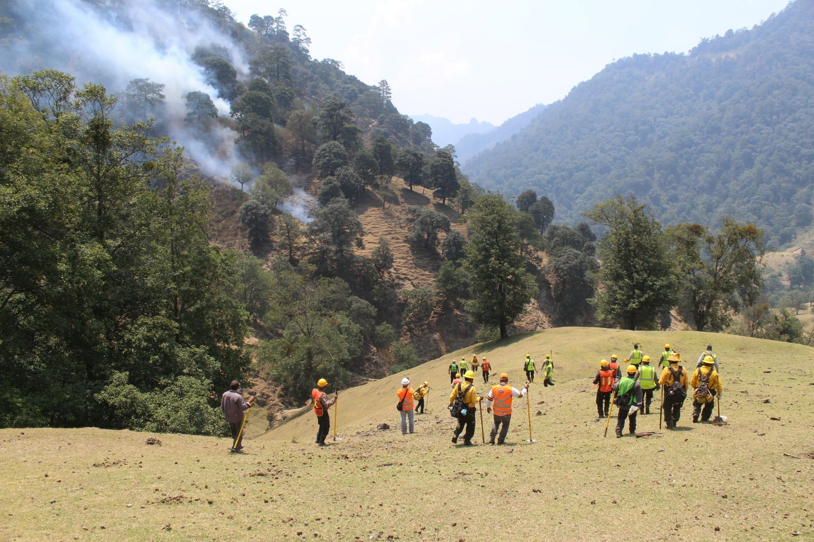 Gobierno del estado coordina acciones para sofocar incendio forestal en Misantla el viejo – El Demócrata